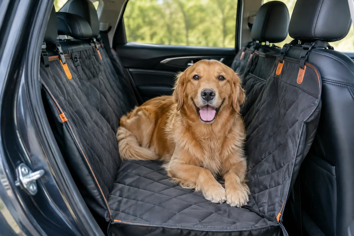 Dog Car Hammock: What to Look For Before You Buy